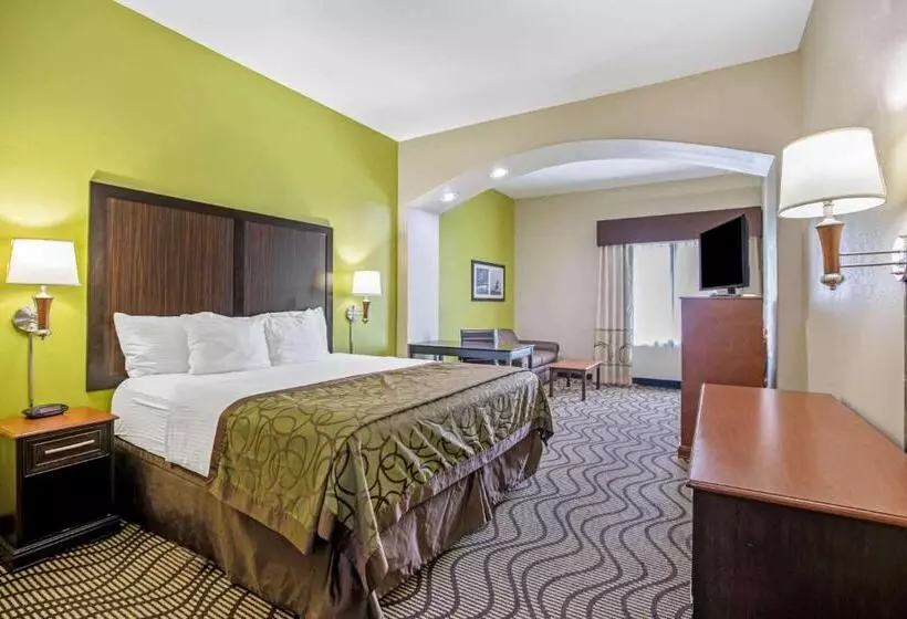 Standard-invahuone King-vuode, La Quinta By Wyndham Corpus Christi Airport