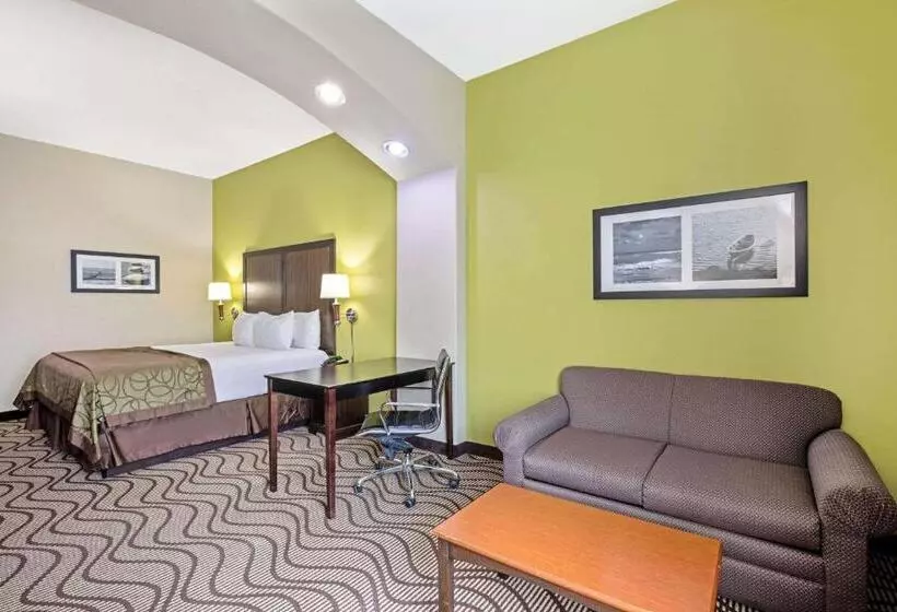 Sviitti Liikuntarajoitteisille, La Quinta By Wyndham Corpus Christi Airport
