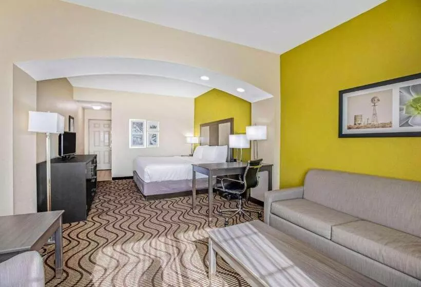 اتاق استاندارد با تخت بزرگ, La Quinta Inn & Suites By Wyndham Corpus Christi Northwest