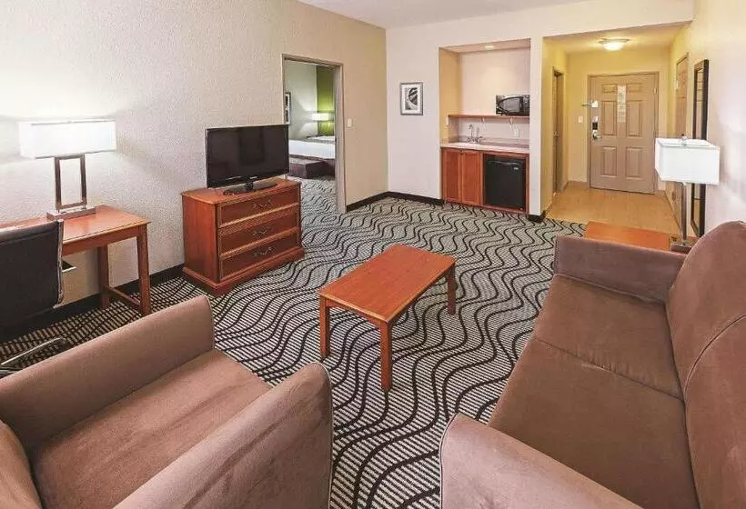 سوئیت با تخت بزرگ, La Quinta Inn & Suites By Wyndham Corpus Christi Northwest