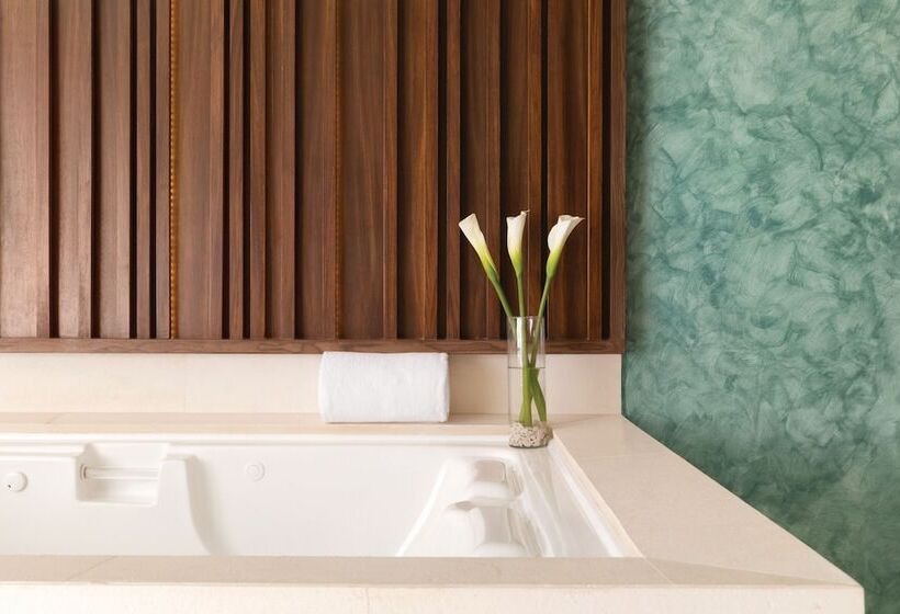 سوییت جونیور با چشم‌انداز استخر, Hilton Playa Del Carmen, An All Inclusive Adult Only Resort