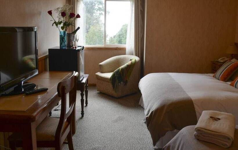 Номер Стандарт, Borde Lago