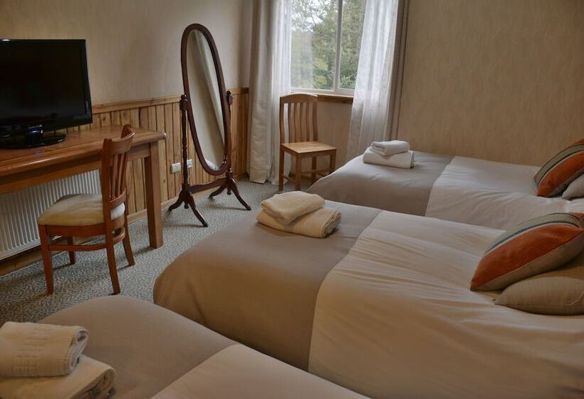 Номер Стандарт Трехместный, Borde Lago