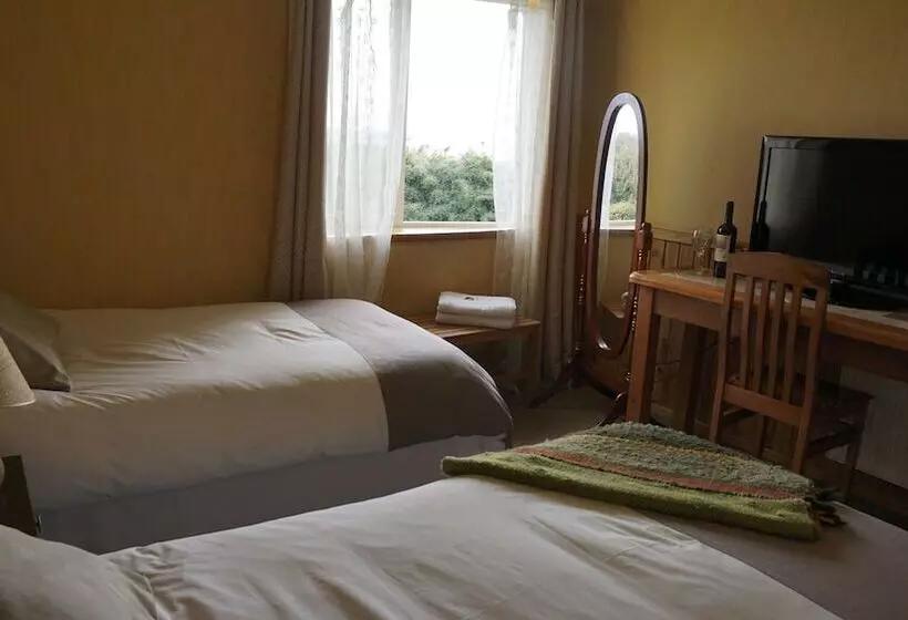 اتاق استاندارد یک نفره, Borde Lago