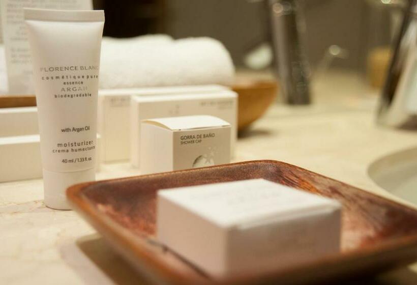 Номер Стандарт, Enjoy Puerto Varas