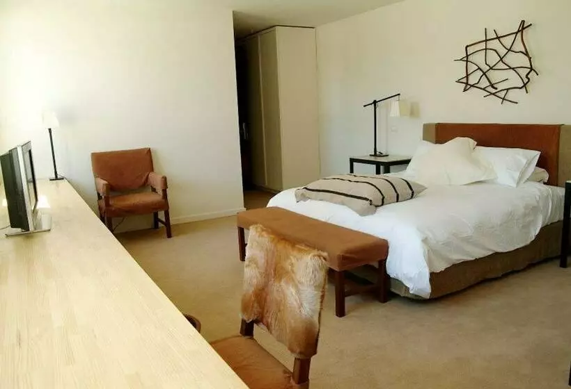 اتاق سوپریور, Enjoy Puerto Varas