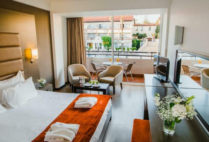 풀장 전망 디럭스 룸, Napa Plaza