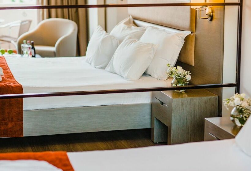 풀장 전망 디럭스 룸, Napa Plaza