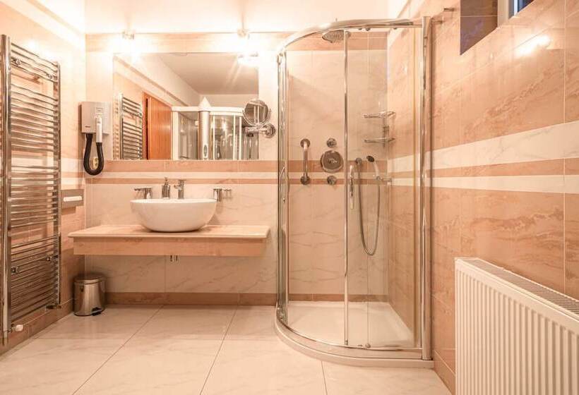 غرفة قياسية, Richard Spa & Wellness