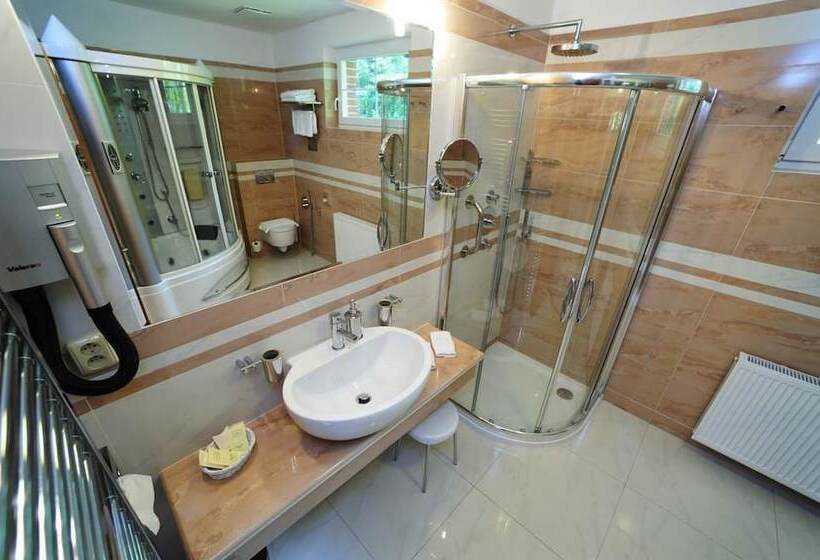 غرفة قياسية, Richard Spa & Wellness