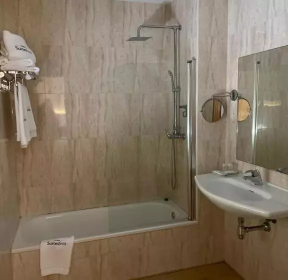 اتاق استاندارد, Suites Feria De Madrid