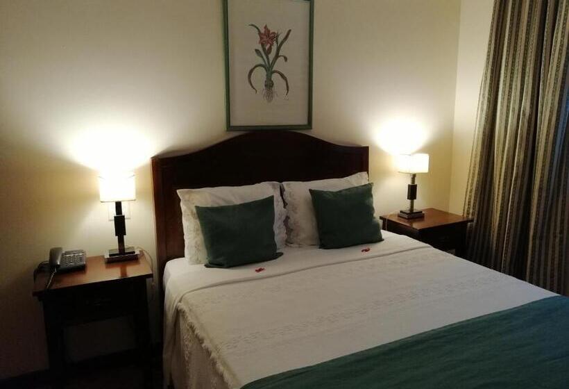 اتاق اکونومی یک تخته, Vera Cruz Porto Downtown