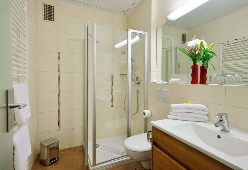 غرفة إقتصادية, Landhotel Böld Oberammergau