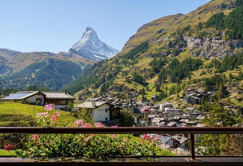 带观景的豪华间, Alpenroyal