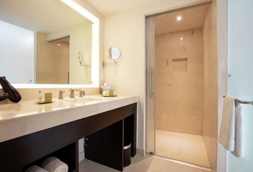 ２ダブルベッドのスタンダードルーム, Doubletree By Hilton Toluca