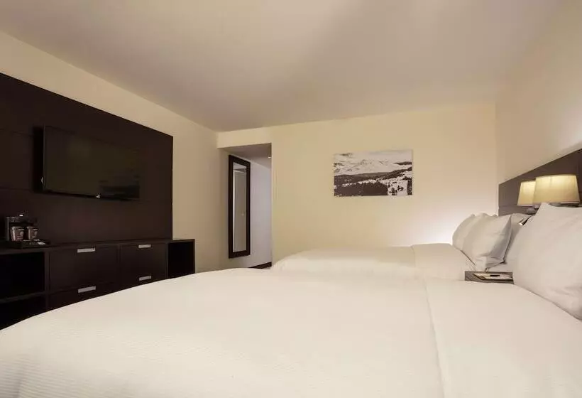 ２ダブルベッドのスタンダードルーム, Doubletree By Hilton Toluca
