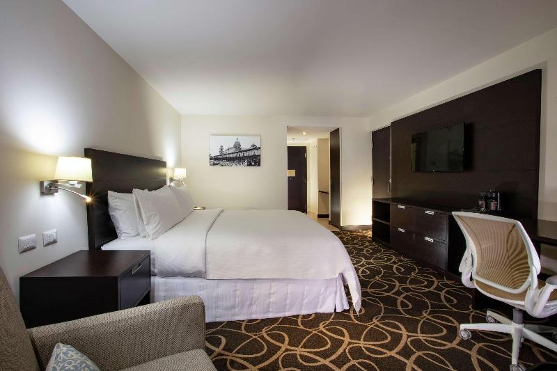 キングサイズベッドのスタンダードルーム, Doubletree By Hilton Toluca