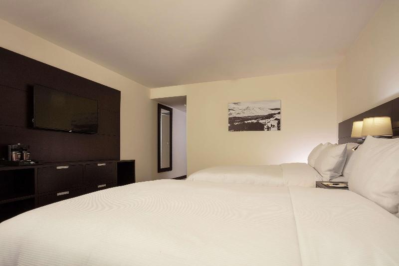 スタンダードルーム, Doubletree By Hilton Toluca