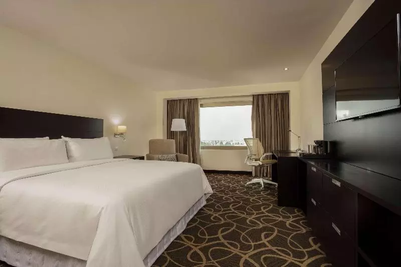 キングサイズベッドのスタンダードルーム, Doubletree By Hilton Toluca
