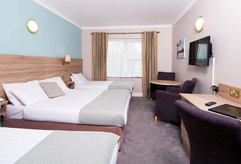 标准三人间, Treacys West County Conference And Leisure Centre