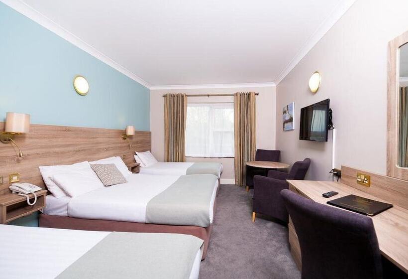 标准三人间, Treacys West County Conference And Leisure Centre