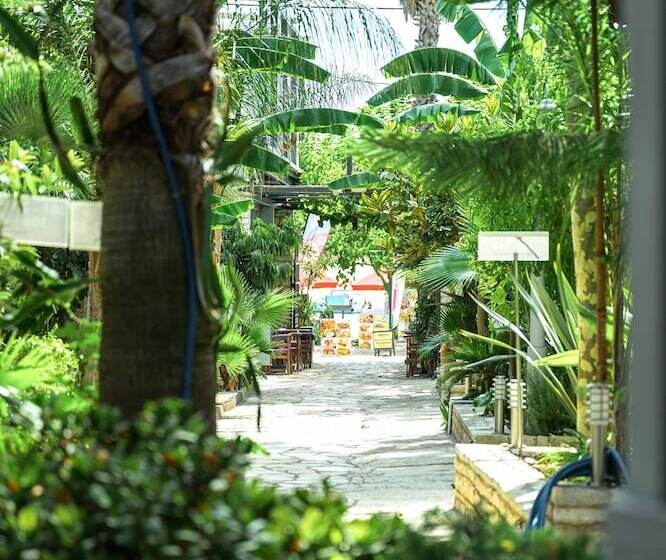 スタンダードスタジオ, Rouda Bay Beach