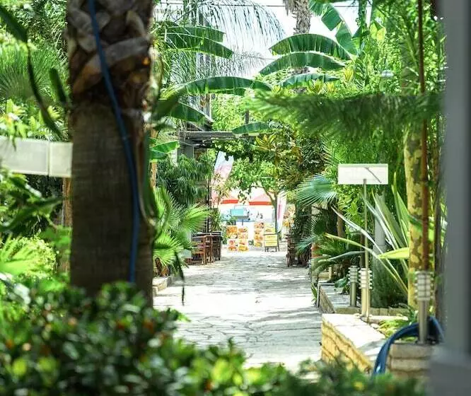 スタンダードスタジオ, Rouda Bay Beach