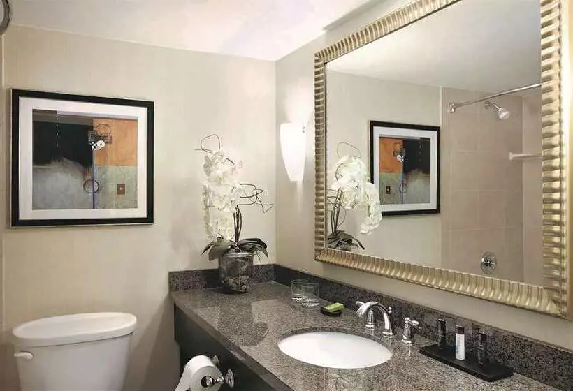 プレミアムスイート, Embassy Suites By Hilton Scottsdale Resort