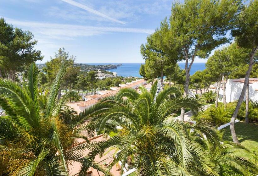 اتاق سوپریور با چشمانداز دریا, Hilton Mallorca Galatzo