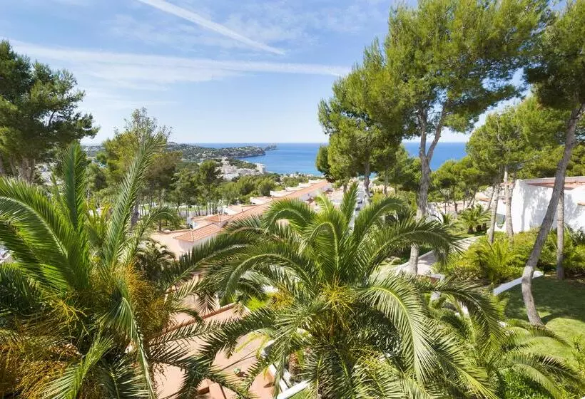 اتاق سوپریور با چشم‌انداز دریا, Hilton Mallorca Galatzo