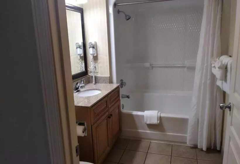 آپارتمان 1 خوابه با چشم‌انداز دریا, Ocean Reef Resort