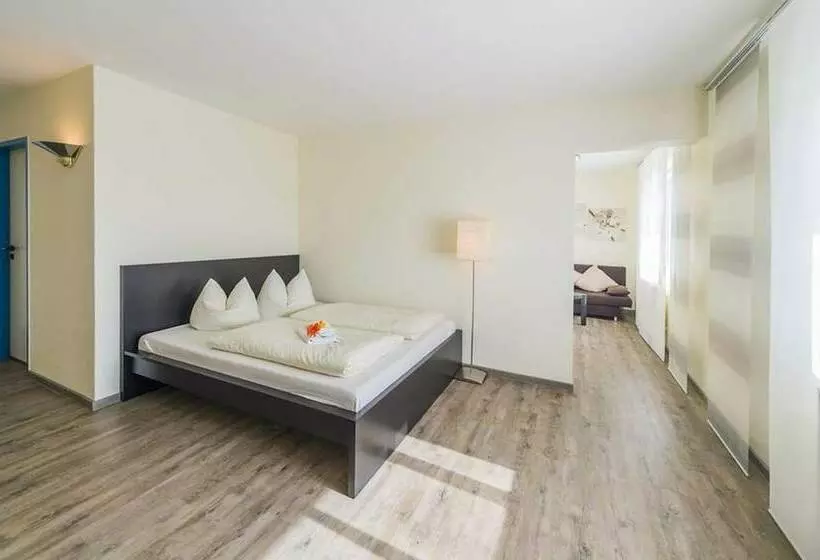 اتاق راحتی یک تخته, Plaza Hotel Bruchsal