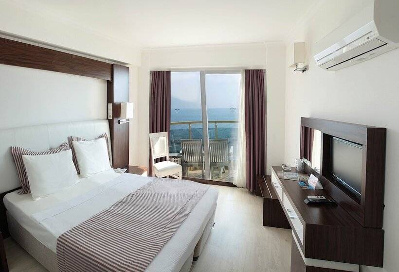 Номер Стандарт, Arora