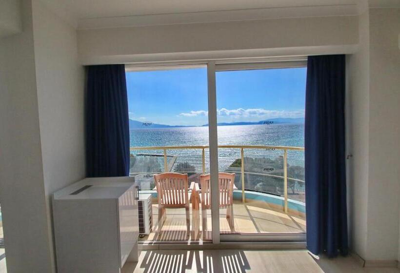 Номер Стандарт, Arora