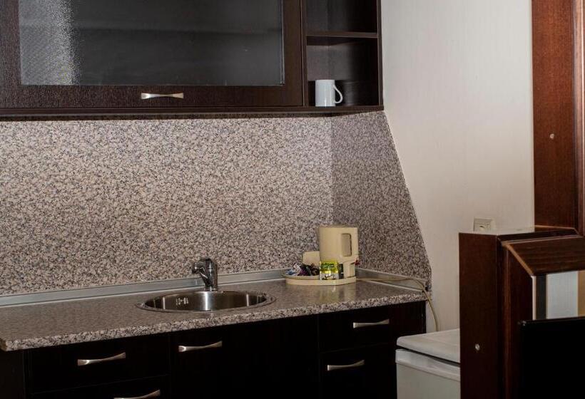 جناح سرير كينج, Best Western Art Plaza