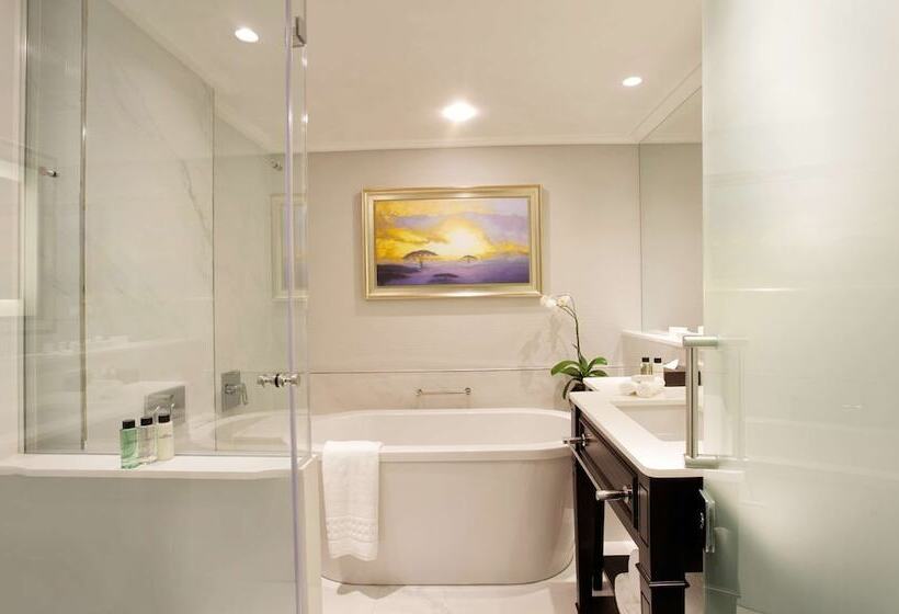 스탠다드 스튜디오, Sandton Sun And Towers