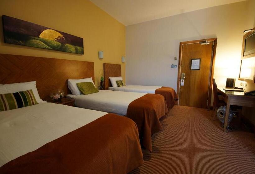 패밀리 룸, Treacys Hotel & Leisure Centre Waterford