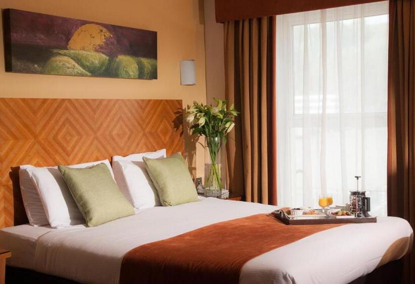 스탠다드 싱글 룸, Treacys Hotel & Leisure Centre Waterford