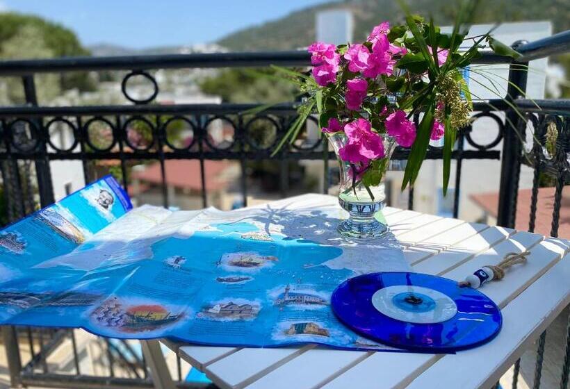 شقة غرفة واحدة, Merve Apartments, Your Home From Home In Central Bodrum, Street Cats Frequent The Property, Not All