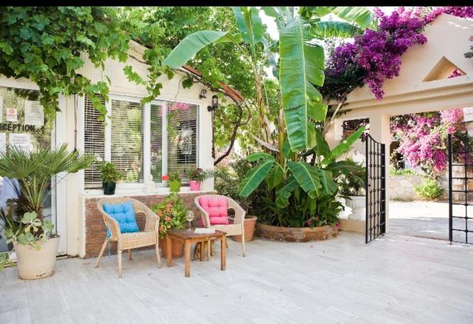 شقة غرفة واحدة, Merve Apartments, Your Home From Home In Central Bodrum, Street Cats Frequent The Property, Not All