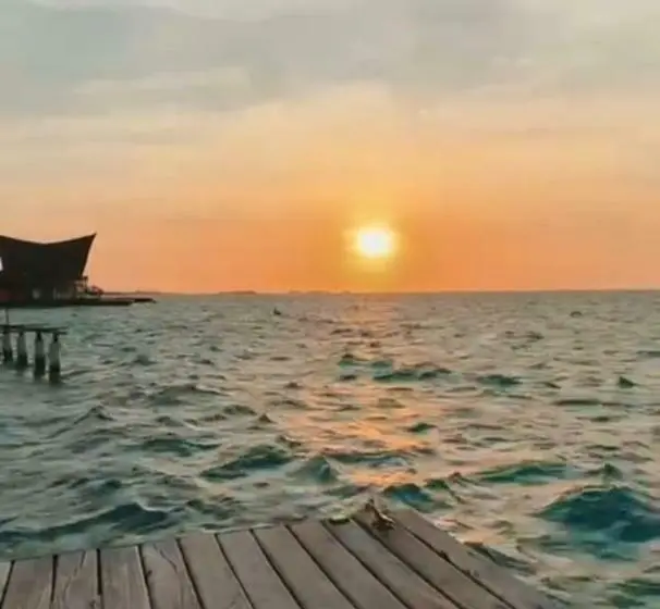 デラックスルーム, Sunsets Del Rosario