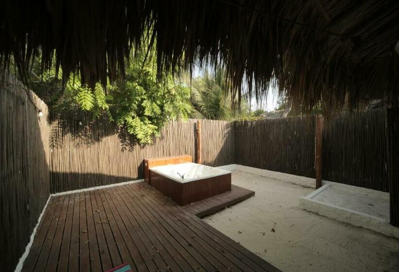 디럭스 룸, Sunsets Del Rosario