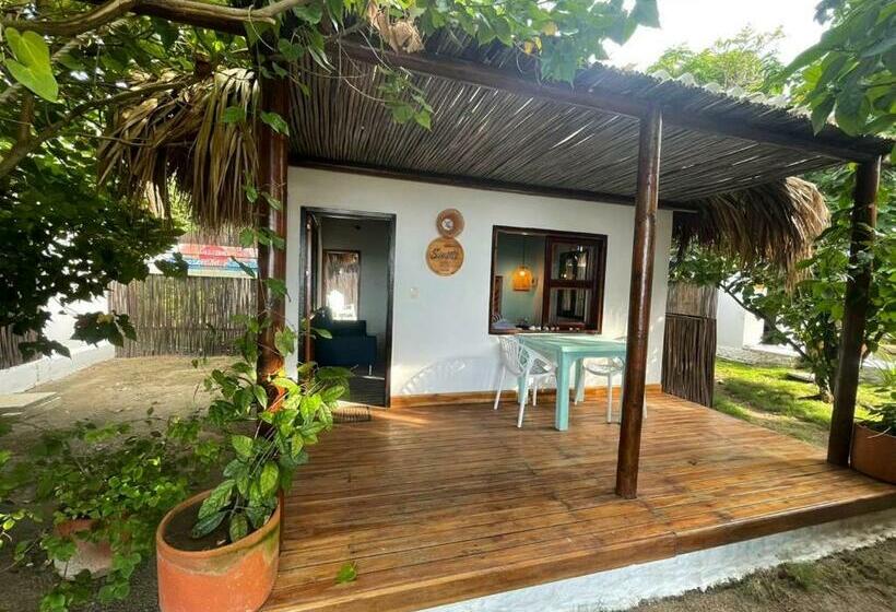 디럭스 룸, Sunsets Del Rosario