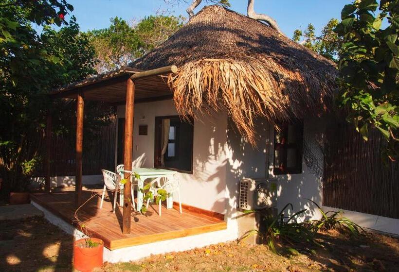 디럭스 룸, Sunsets Del Rosario