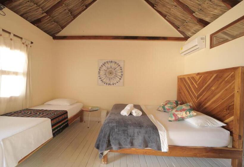 디럭스 룸, Sunsets Del Rosario