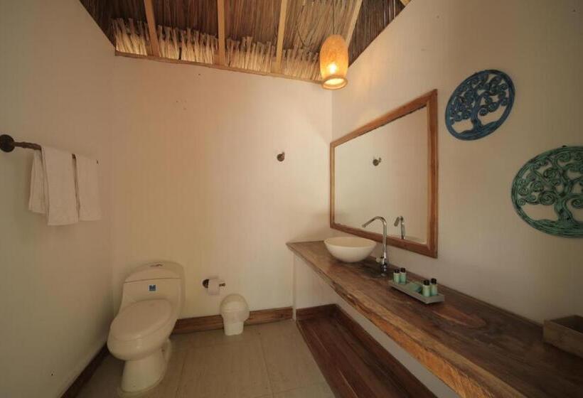 디럭스 룸, Sunsets Del Rosario