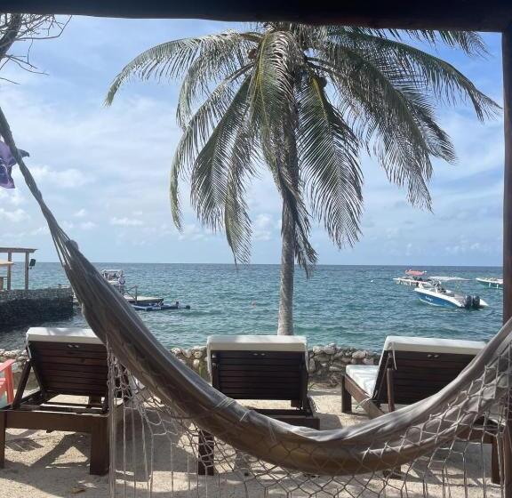 디럭스 룸, Sunsets Del Rosario