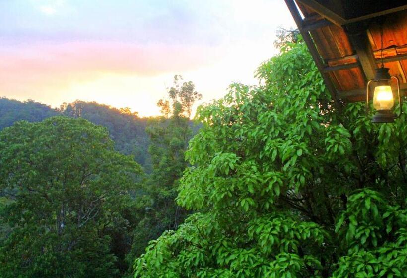 سوییت جونیور با بالکن, The Wild Trails Munnar Resort