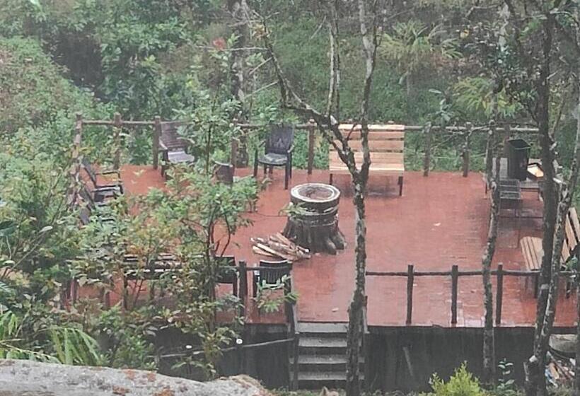 سوییت جونیور با چشم‌انداز استخر, The Wild Trails Munnar Resort