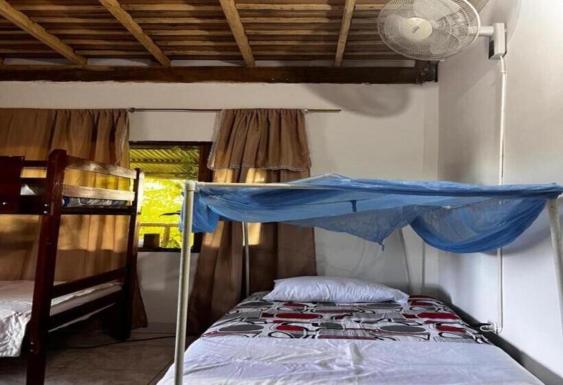 ルームシェアのワンベッド, Maiku Amazonas